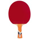 RAQ. Alex LEBRUN ALL+ EVOLUTION MX P 2.0